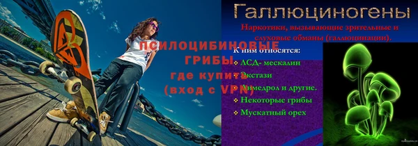 a pvp Каменногорск