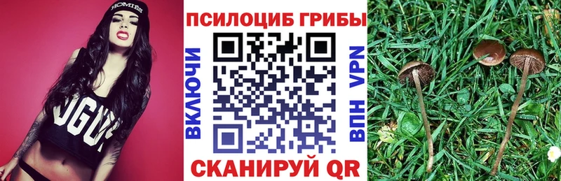 Купить закладки  Бирск  Галлюциногенные грибы мухоморы 